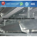 Automatic H-Type Chicken Layer Cage for Broiler